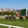 Learn Sports Betting: What New Bettors Should Know Before Placing First Wagers